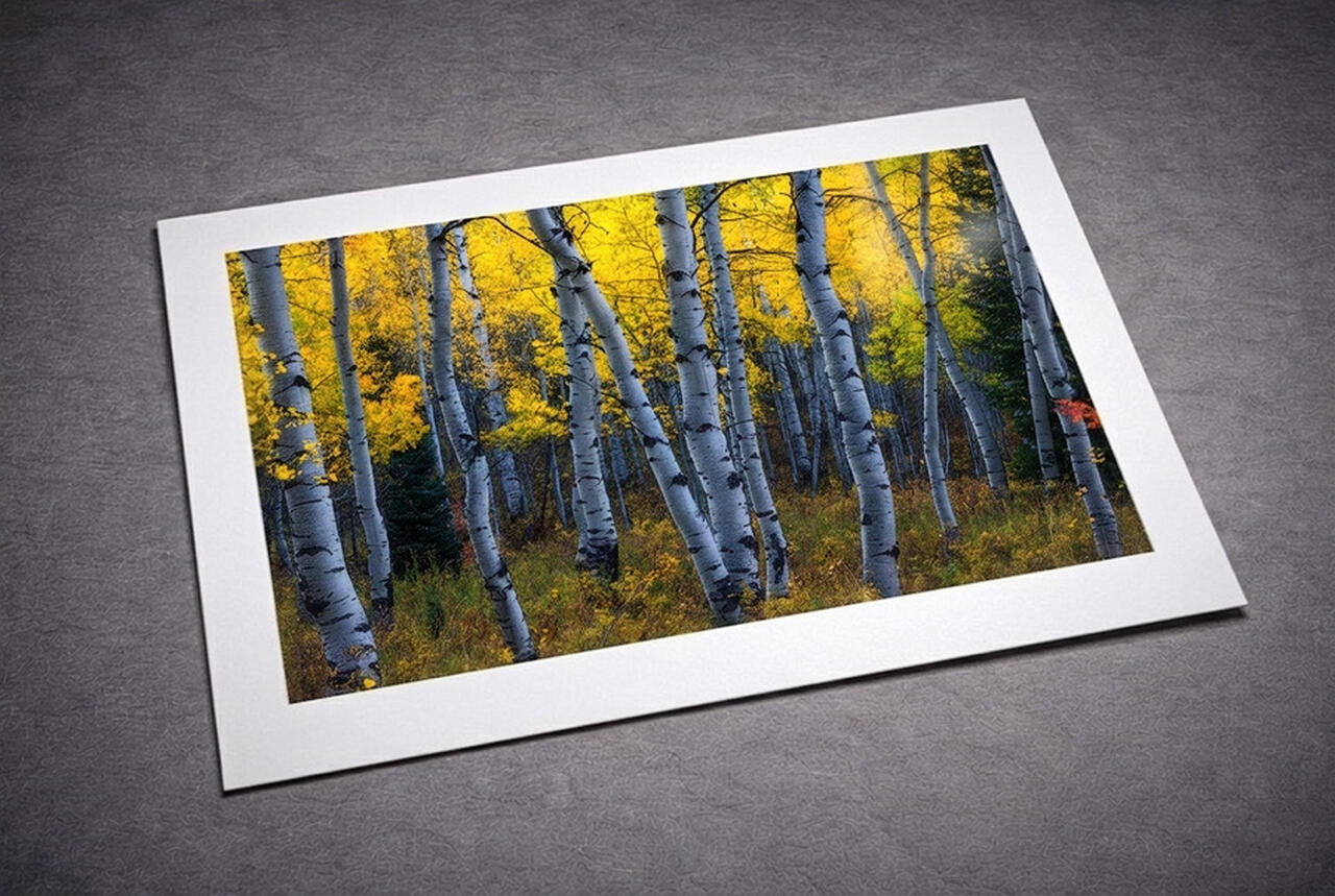 Fine Art Print