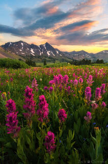 A MONTANA MOMENT