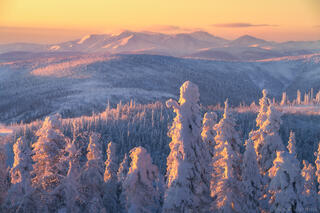 ALASKAN MAGIC