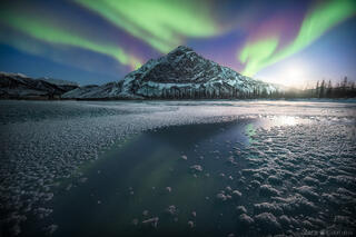 ARCTIC SYMPHONY