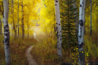 AUTUMN PASSAGE