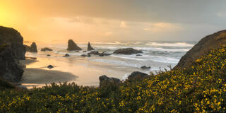 BANDON
