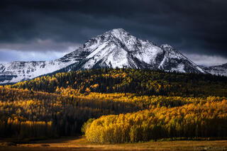 BETWEEN SEASONS