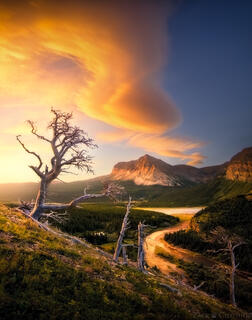 DAWNING OF EVOLUTION