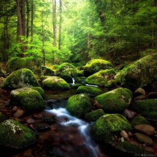 EMERALD FAIRY TALE