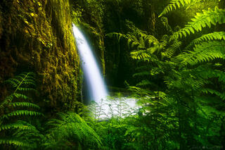 EMERALD GROTTO