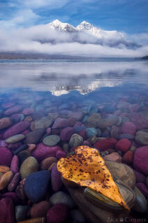 FAREWELL AUTUMN