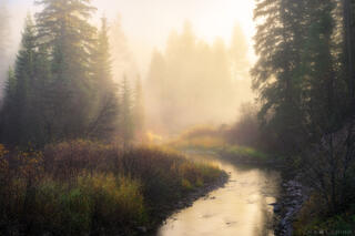 FINDING PEACE