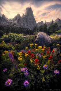 GRANITE GARDEN