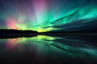 MIDNIGHT SYMPHONY
