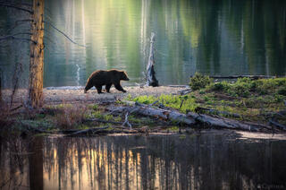 MORNING AT THE LAKE