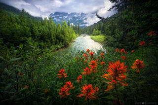 NATURE'S CANVAS