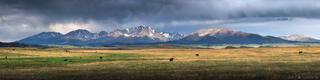 OPEN RANGE