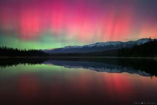 SKYFIRE