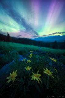SKYGAZERS