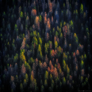 SPOKEN THROUGH LIGHT