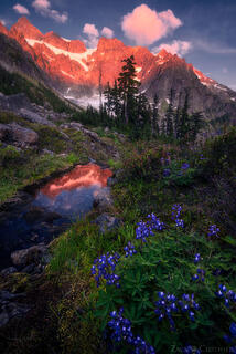 SUMMER WILDERNESS