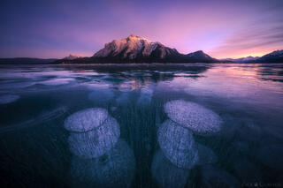 SUSPENDED IN TWILIGHT
