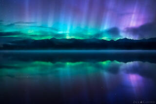 THE LONGEST NIGHT