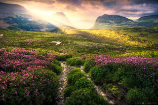 VALLEY OF THE RISING SUN