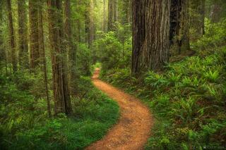 WALK WITH ANCIENTS