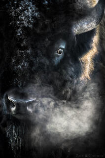 WESTERN SPIRIT