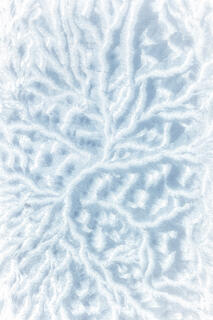 WINTER ART