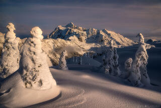 WINTER REIGNS