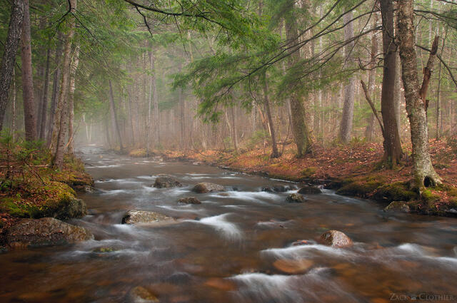 Baker Brooks on a foggy spring morning in the Adirondacks, Adirondack State Park, New York
