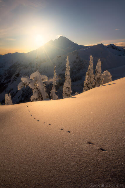 Winter sunset over Mount Baker, Mount Baker-Snoqualmie National Forest, Washington