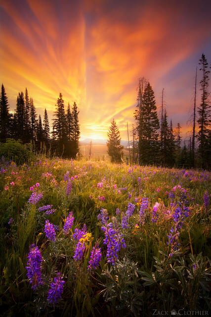Fiery sunrise over Beartooth Mountains, Cooke City, Montana