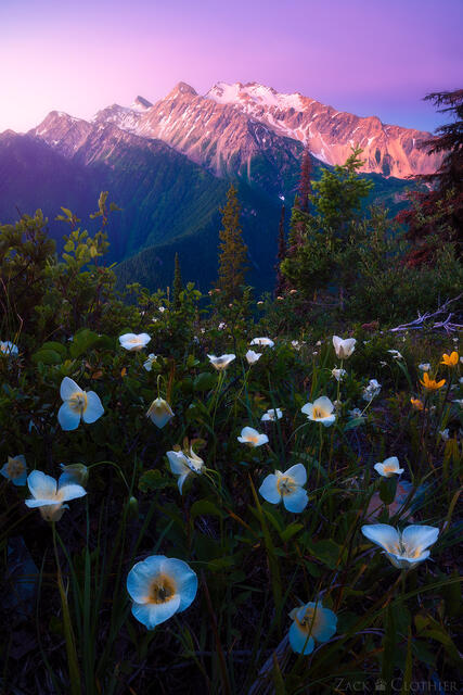 Great Northern Mountain at dawn, Great Bear Wilderness, Montana