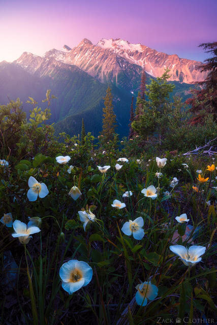 Great Northern Mountain at dawn, Great Bear Wilderness, Montana
