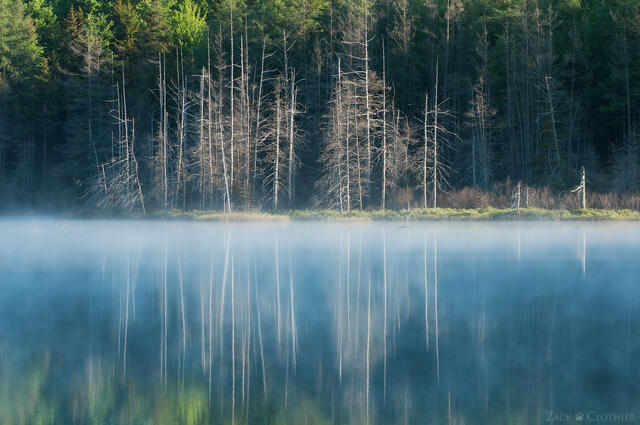 A remote wilderness lake in the Adirondacks, Adirondack State Park, New York