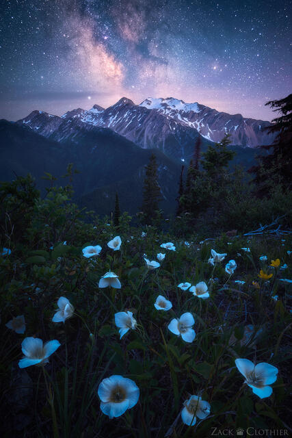 Milky Way over Great Bear Wilderness, Montana