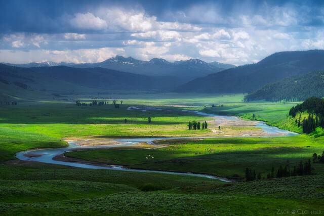 Lamar Valley in summer, Yellowstone National Park, Wyoming