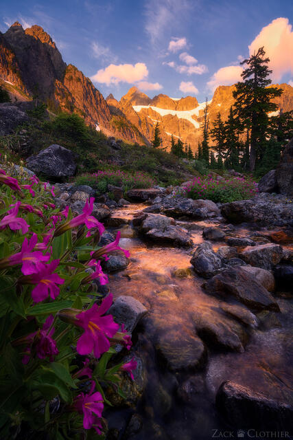A small wildflower laced stream with view of Mount Shuksan, Mount Baker Wilderness, Washington