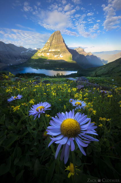 Hidden Lake and wildflower meadow, Glacier National Park, Montana