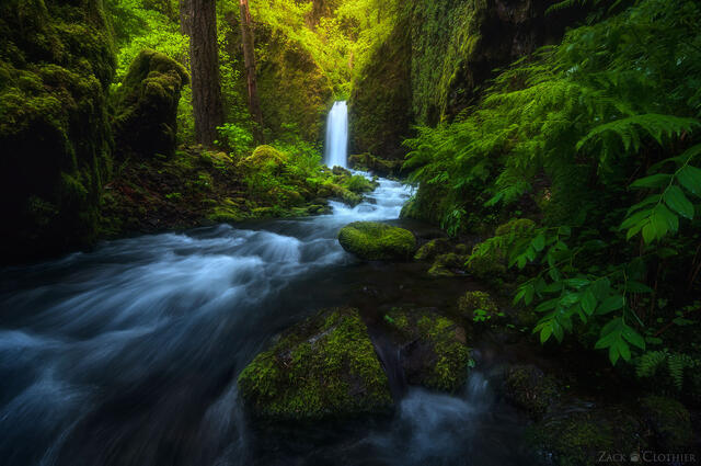 Hidden waterfall tucked away in a beautiful mossy grotto, Columbia River Gorge, Oregon