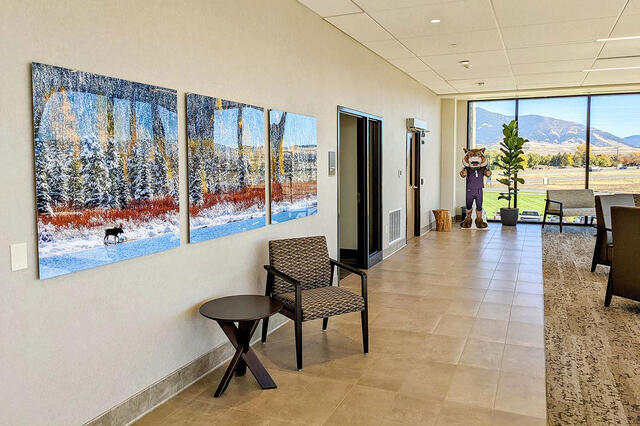 Healthcare Artwork for Hospitals, Clinics & Healing Spaces