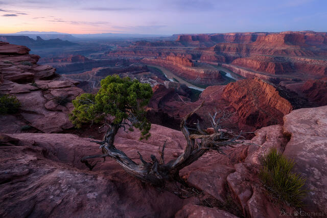 Overlooking Dead Horse Point at dawn, Dead Horse Point State Park, Utah