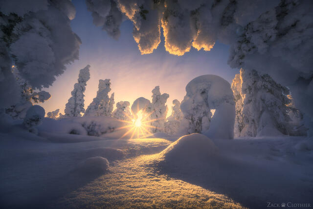 A forest encased in snow and hoar frost along the famed Dalton Highway, Interior Alaska