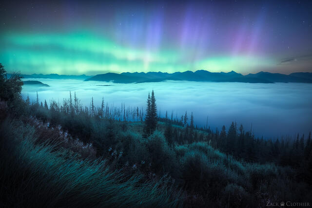Aurora over Great Bear Wilderness, northwestern Montana