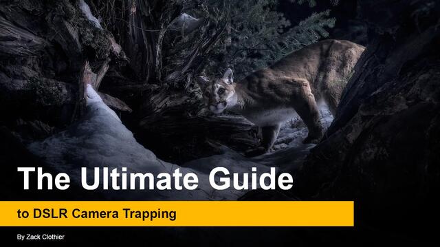 The Ultimate Guide to DSLR Camera Trapping eBook