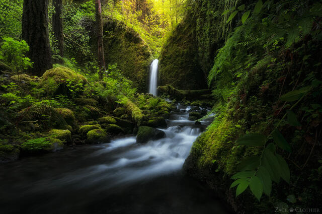 Picturesque waterfall in a lush grotto, Columbia River Gorge, Oregon
