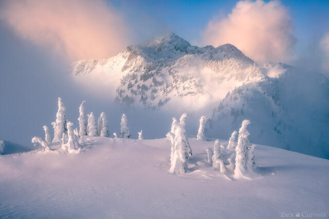 WINTER
