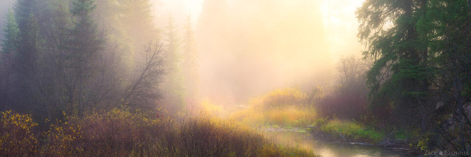 Panoramic of woodland stream on a foggy autumn morning, Seeley-Swan Valley, Montana