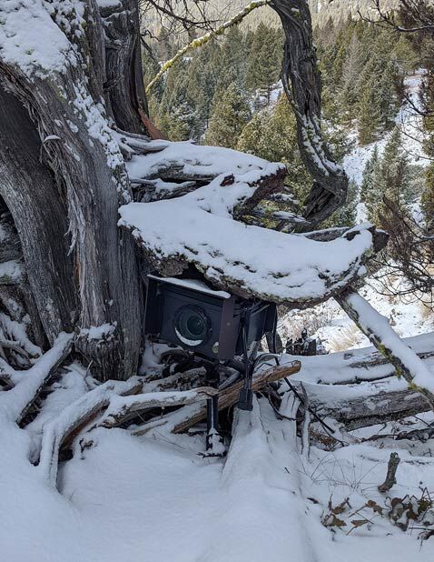 DSLR camera trap setup in the field