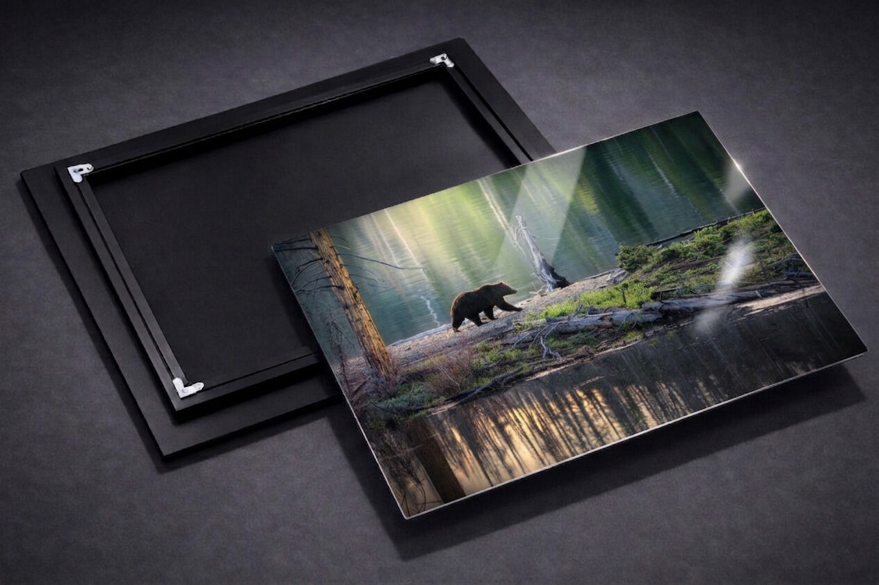 Fine art luxury metal prints for sale