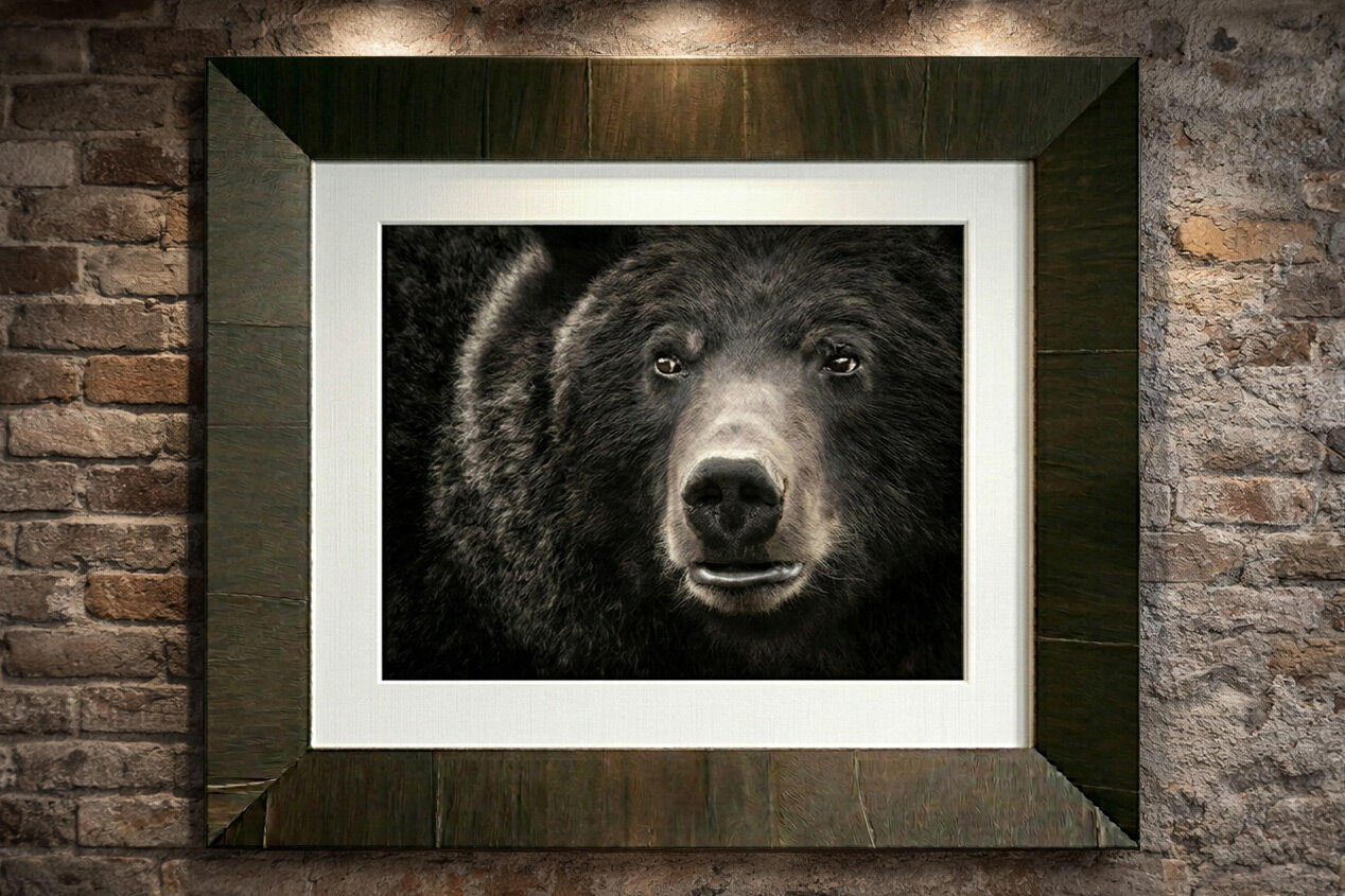 Fine art luxury framed acrylic prints for sale